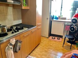 Cairnhill Plaza (D9), Apartment #609082371